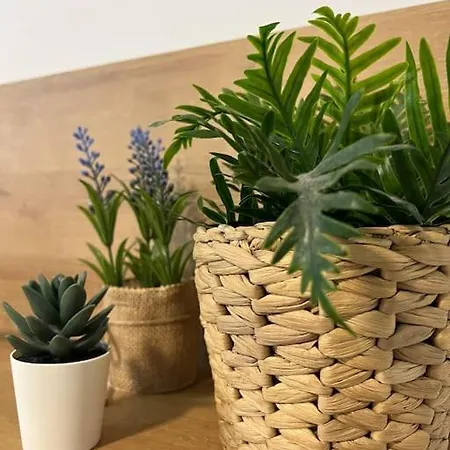 4 La Laguna, Centrico Y Acogedor Apartamento La Laguna (Tenerife)