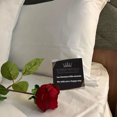 4 La Laguna, Centrico Y Acogedor Apartament La Laguna (Tenerife)