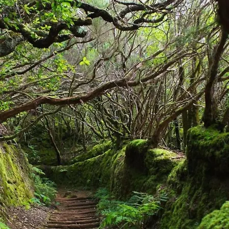 4 La Laguna, Céntrico Y Acogedor La Laguna (Tenerife)