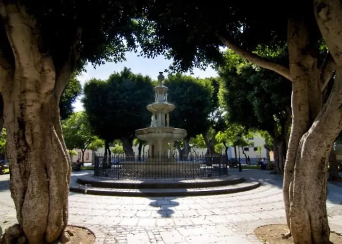 4 La Laguna, Centrico Y Acogedor