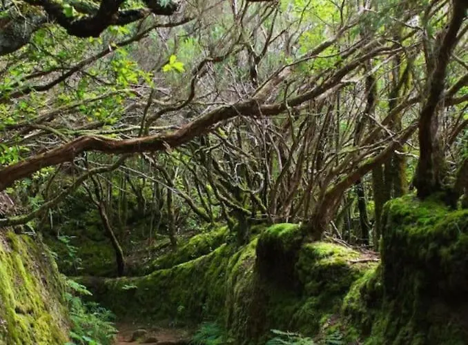 4 La Laguna, Centrico Y Acogedor サン・クリストバル・デ・ラ・ラグーナ