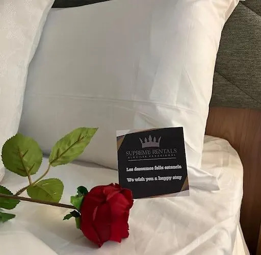 4 La Laguna, Centrico Y Acogedor 아파트 라 라구나