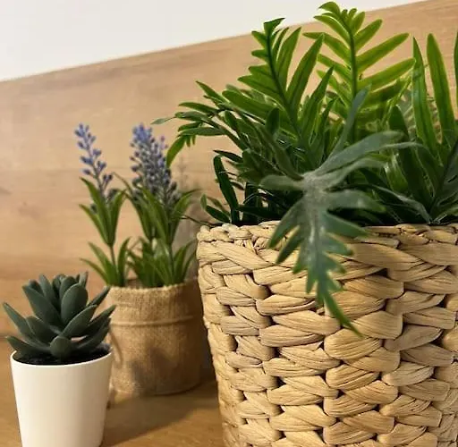 4 La Laguna, Centrico Y Acogedor 아파트 라 라구나